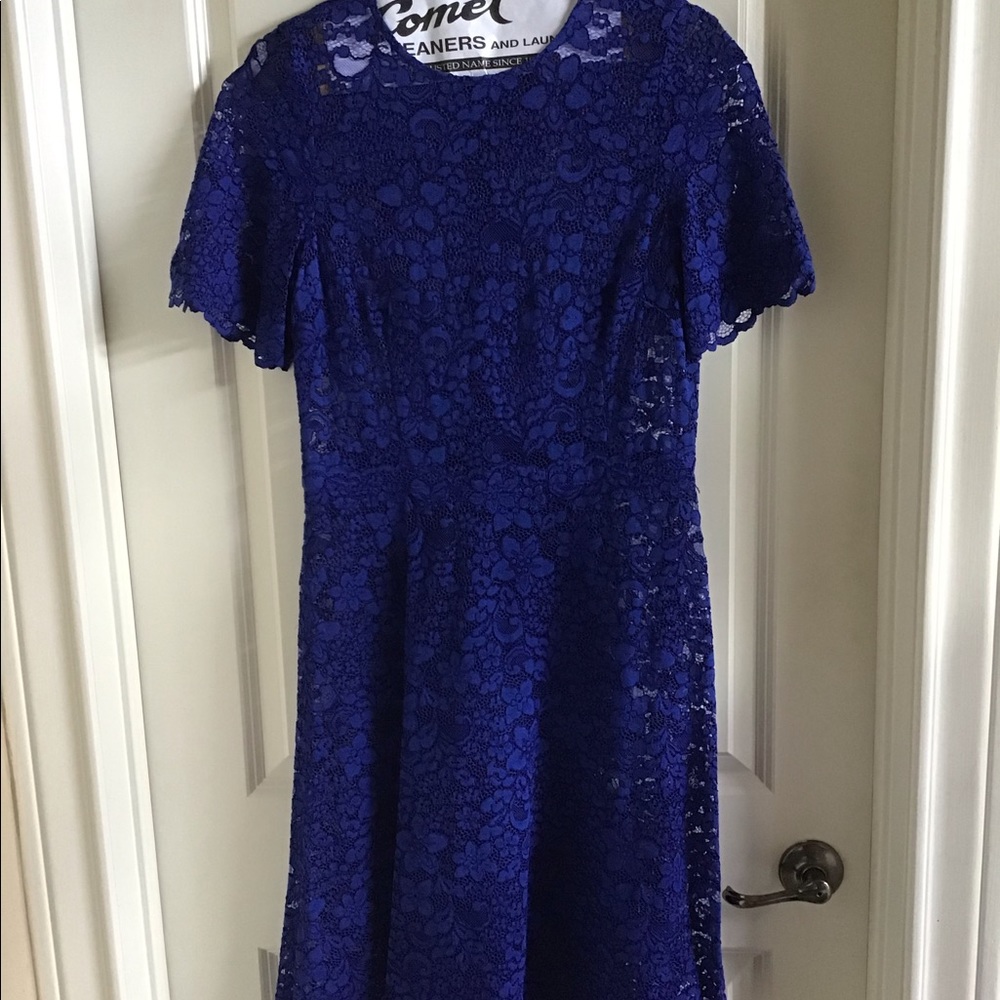 Gorgeous Cobalt Blue Lace Dress